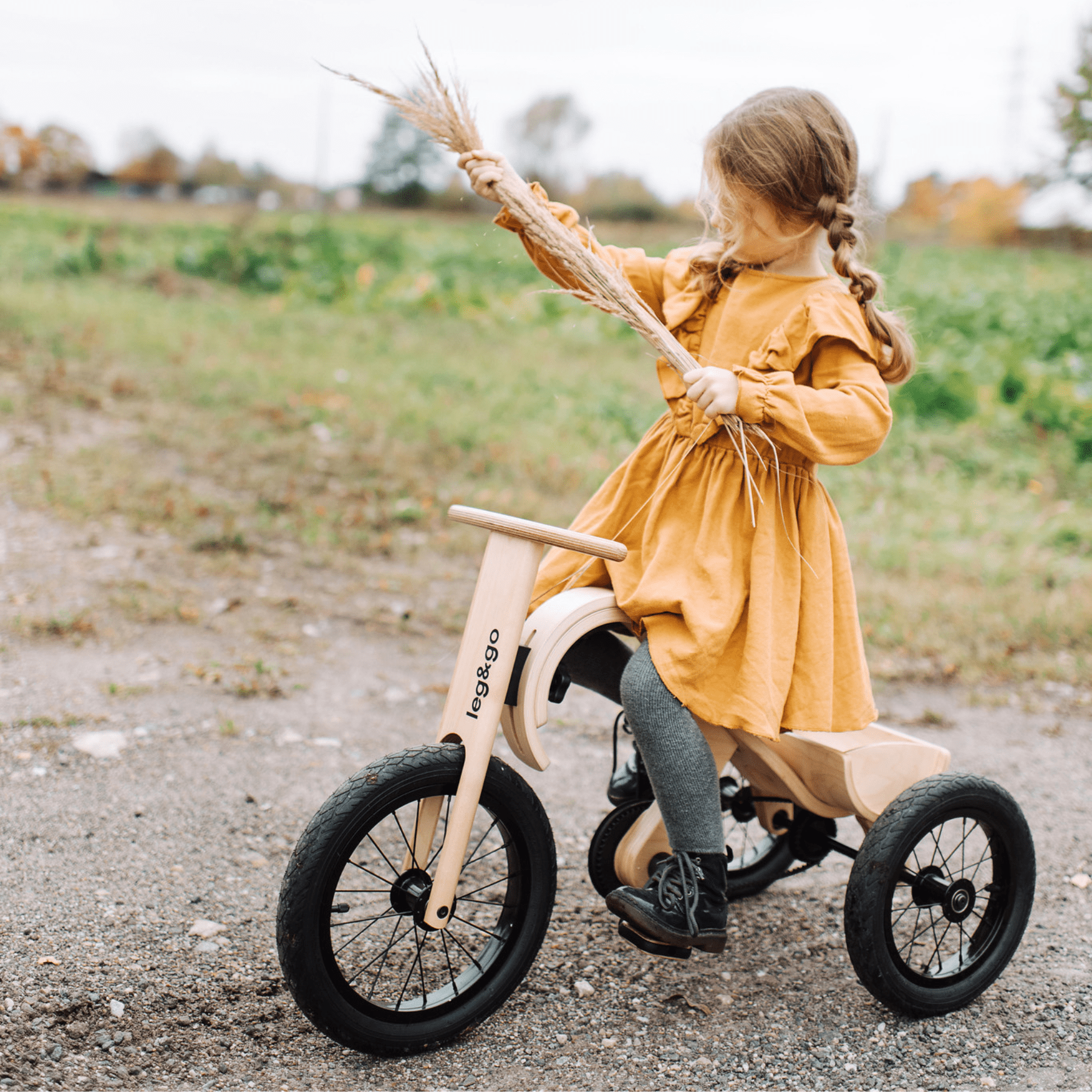 Balance Bike 3in1 Dreirad Erweiterung